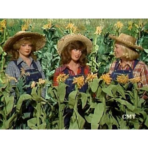 17 Best Images About Hee Haw On Pinterest Barbi Benton