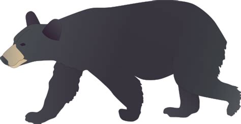 Black Bear Clipart 20 Free Cliparts Download Images On Clipground 2023