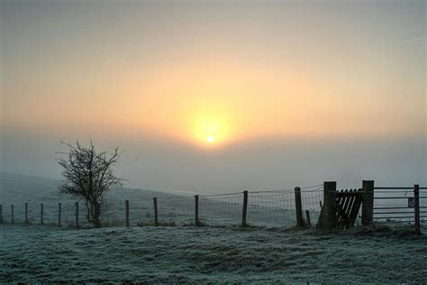 Free Stock Photo Of Foggy Morning Sunset