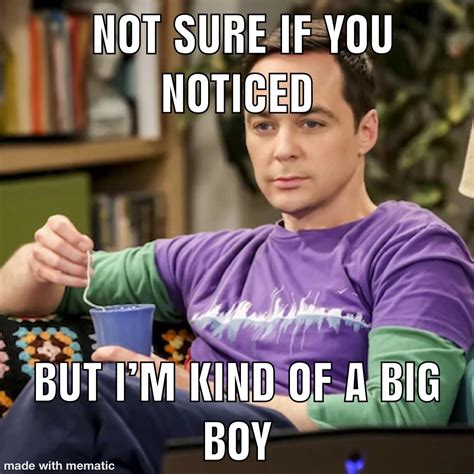 Big Bang Theory Sheldon Meme