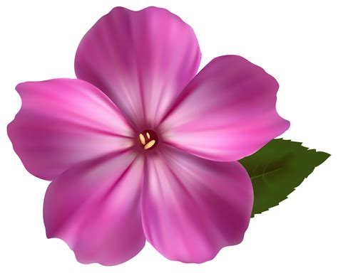 Sun flower png transparent image. Free photo: Pink flower - Beautiful, Flower, Gift - Free ...