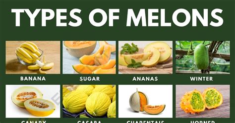 55 Different Types Of Melons With Juicy Pictures • 7esl