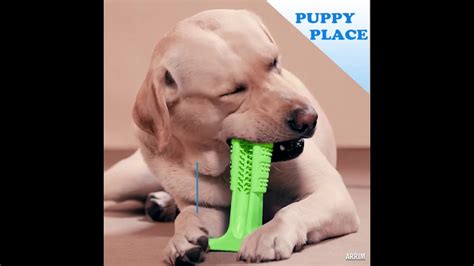 Revolutionary Dog Toothbrush | PuppyPlace.ca (Free Shipping) - YouTube