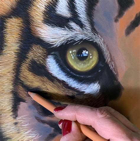 Tiger Eye In Pastel Work In Progress For My Next Patreon Pastel