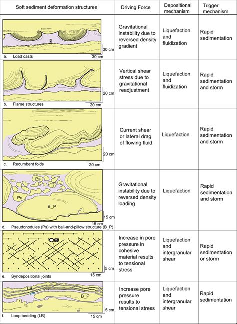 A Catalogue Of The Soft Sediment Deformation Structures Encountered In