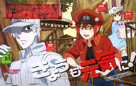 Wallpapers Download Anime Hataraku Saibou Sub Indo Anime Top Wallpaper