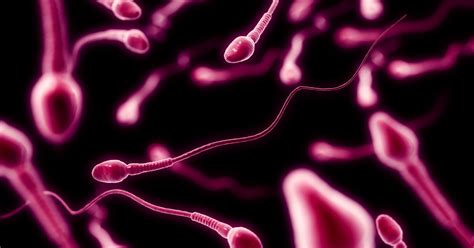 Six Facts About Semen They Didnt Tell You In Sex Education Mirror Online