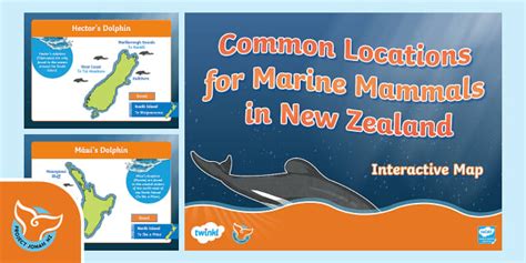 Free Common Locations For Marine Mammals In Nz Interactive Map