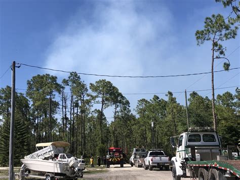 crews contain two separate brush fires in golden gate estates wink news