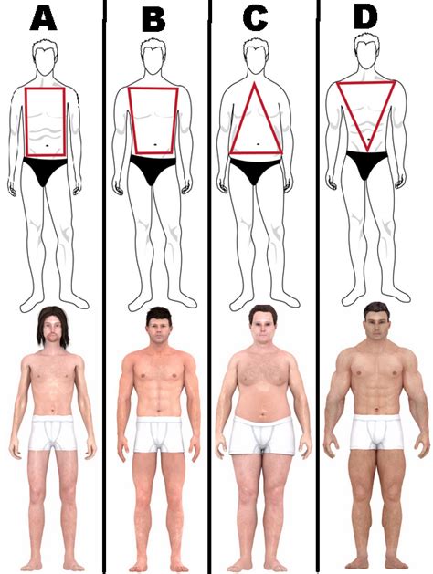 male body types women prefer