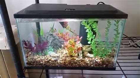 Deal each player seven cards, unless you have more here are the customer reviews for that product: Different betta fish tank sizes - YouTube
