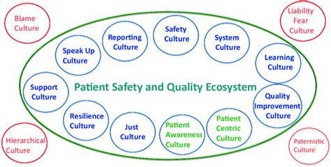 Patient Safety And Quality Ecosystem And Its Constituent Cultures Vs