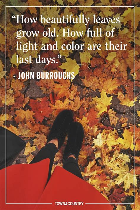 The Best Quotes About Autumn To Get In The Spirit For The Change Of