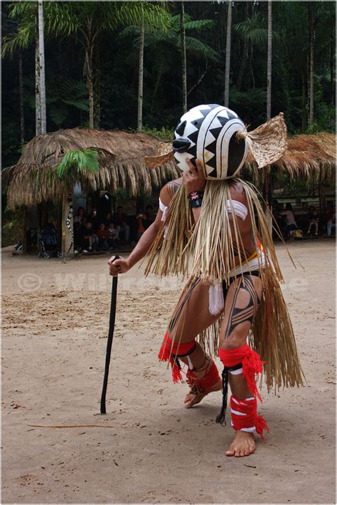 mg 2124 kuikuro indian dressed up for the masked dance at the presentation of kuikuro dancing