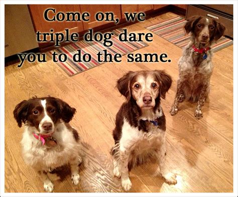 Triple Dog Dare Day