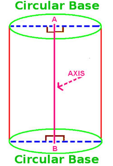 The units are in place to give an indication of the order of the results such as ft, ft 2 or ft 3. Define Right Circular Cylinder at Algebra Den