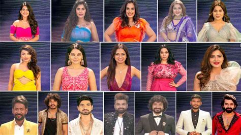 Bigg Boss Telugu Non Stop Contestants Name List With Photos Heres My