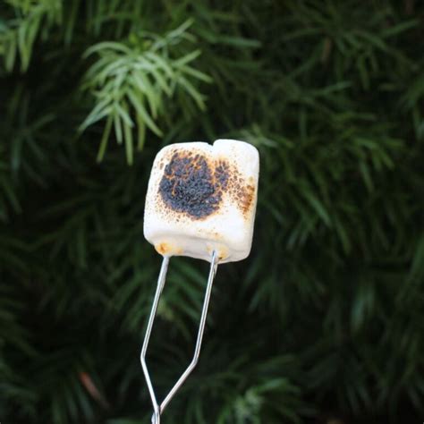 How To Roast Marshmallows Without A Fire Or Indoors