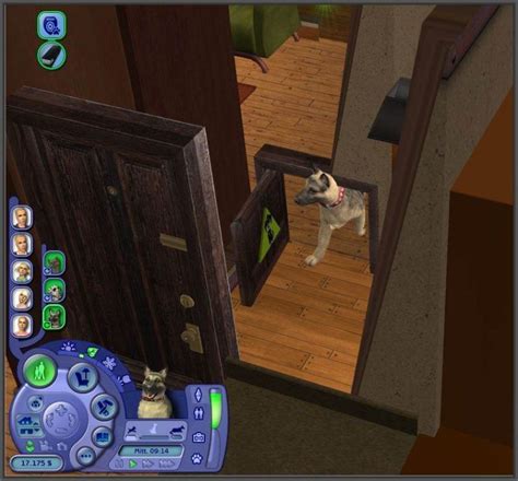 Pet Doors And Other Special Doors Sim Fans Uk