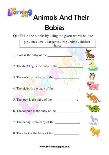 Animals And Their Babies Worksheets The Learning Apps