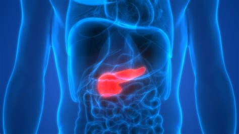 Symptoms Of Pancreatic Cancer The Importance Of Early Detection