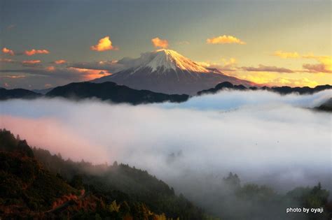 大雲海と富士山（2） 富士山見えたら‥