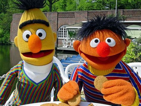 Bert And Ernie Sesame Street Muppets The Muppet Show Sesame Street