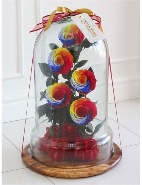 Giant Preserved Ecuadorian Roses Rainbow Preserved Flowers By