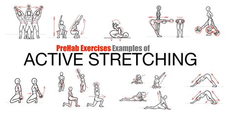Exercise Dynamic Stretching Mobility Exercises
