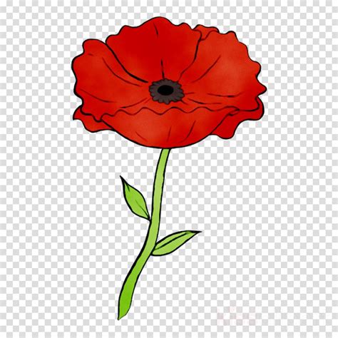 Poppy Clipart Single Poppy Poppy Single Poppy Transparent Free For
