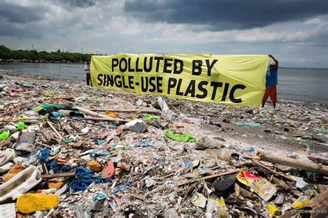 The Impact Of Plastic Waste On The Environment