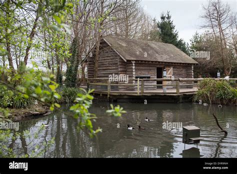 A Log Cabin On A Small Lake Stock Photo 68739373 Alamy