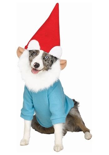 Gnome Pet Costume Puppy