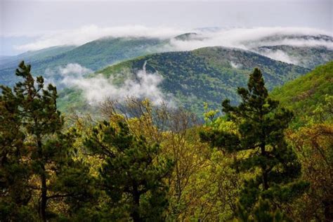 Ouachita Mountains And What You Need To Know