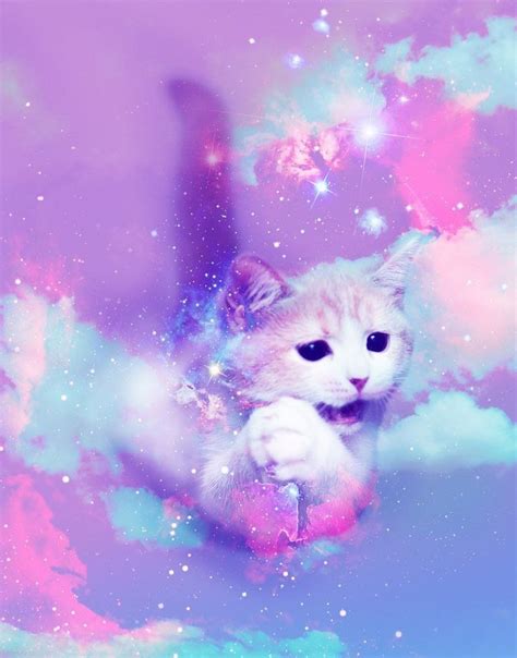 9 Best Pastel Goth Cats Images On Pinterest Cats Cute