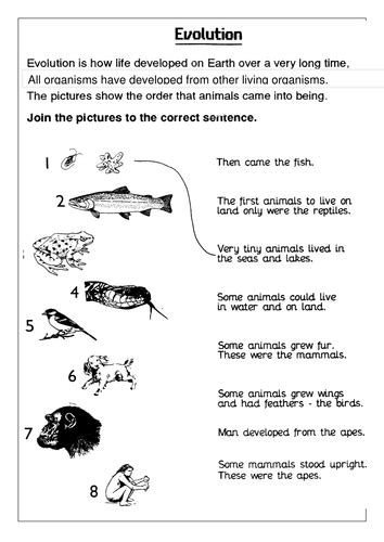 Evolution review worksheet answer key, evidence of evolution worksheet answer key and darwin's natural selection worksheet are three main things we want to present to. Evolution sen sheet | Teaching Resources