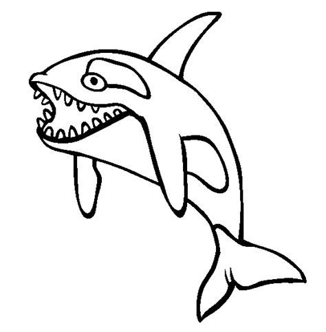 Orca Whale Coloring Sheet Coloring Pages
