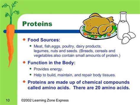Nutrient Basics