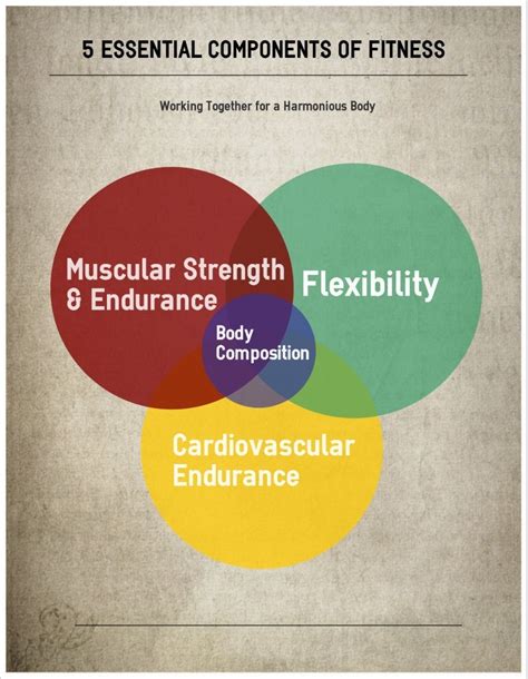 5 Essential Components Of Fitness Fitness Proaction