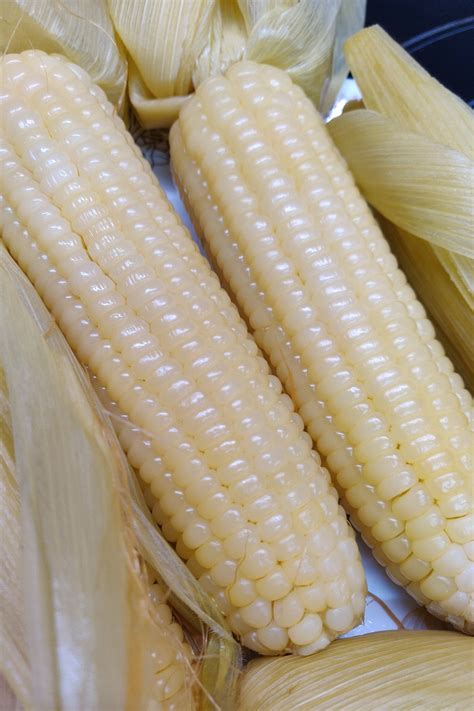 White Waxy Corn 50 Seeds High Glutinous Organic Sweet Corn Bap Nep