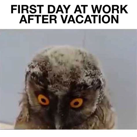 30 Funny Pictures That You Can Relate To Admit It First Day Of Work