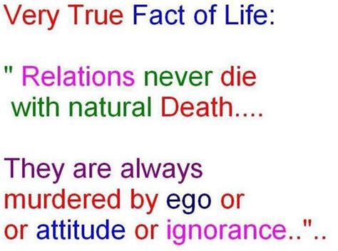 True Facts About Life Images Allesandra92