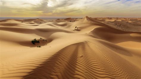 Mengenal Gurun Arab Atau Arabian Desert Yang Ada Di Arab Saudi