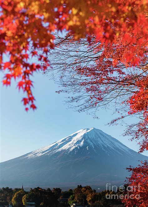 Red Maple Leaves Mount Fuji Photograph By Tassaphon Vongkittipong