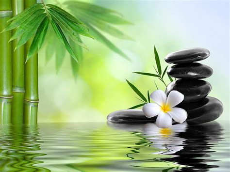 hd wallpaper green bamboo grass water stones spa zen zen like balance wallpaper flare