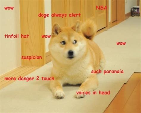 The Best Of The Doge Meme This One Is Me Doge Meme