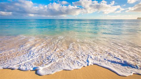 Photo Hawaii Ocean Nature Sand Waves Tropics Scenery Coast 2560x1440