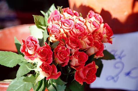 Apr 12, 2021 · how do you keep flowers alive for longer? How to Keep Your Valentine's Day Flowers Alive Longer