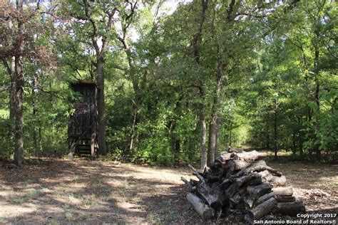 Tiny 2 Story Country Cabin On 83 Acres For Sale In Kingsbury Tx