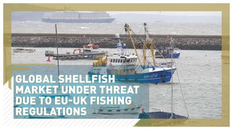 Global Shellfish Market Under Threat Due To Eu Uk Fishing Regulations Youtube
